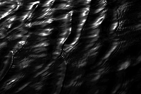 Sarah Garland Photography