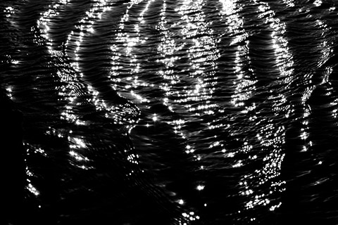 Sarah Garland Photography